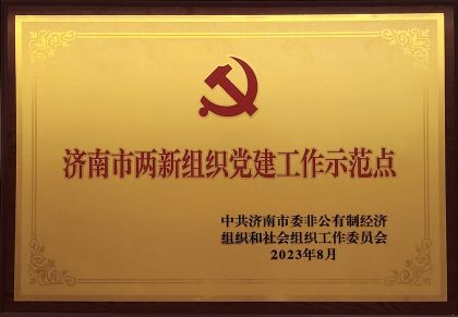 喜报｜67381cm.顶级游戏信息获评济南市两新组织党建示范点